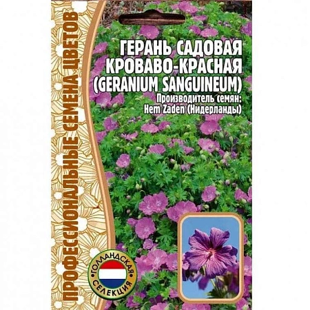 Герань садовая Кроваво-Красная, 3 шт (Ред сем)