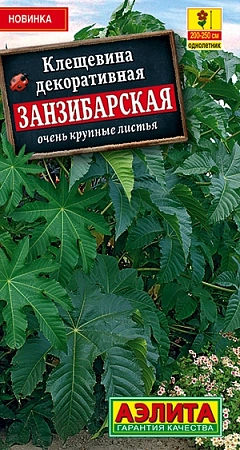 Клещевина Занзибарская, 2 г