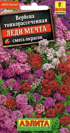 Вербена Леди мечта, смесь окрасок 0,03 г (АЭЛИТА) Вербена Леди мечта, смесь окрасок 0,03 г (АЭЛИТА)