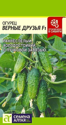 Огурец Верные друзья F1, 5 шт (Сем Алт) Огурец Верные друзья F1, 5 шт (Сем Алт)