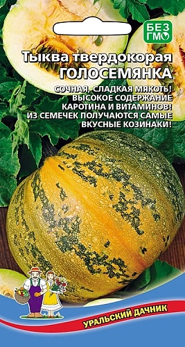 Тыква Голосемянка, 6 шт Тыква Голосемянка, 6 шт