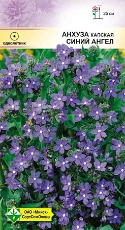 Анхуза капская Синий ангел, 0,2 г (МССО) Анхуза капская Синий ангел, 0,2 г (МССО)