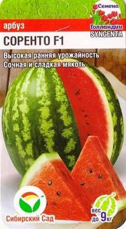Арбуз Соренто F1, 3 шт (Сиб Сад) Арбуз Соренто F1, 3 шт (Сиб Сад)