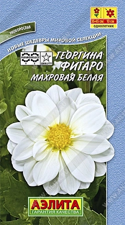 Георгина Фигаро махровая белая, 7 шт