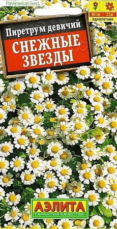 Пиретрум Снежные звезды, 7 шт (АЭЛИТА)