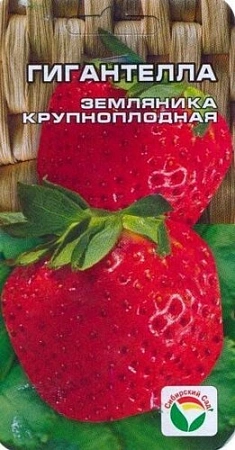 Клубника Гигантелла, 10 шт (Сиб Сад)