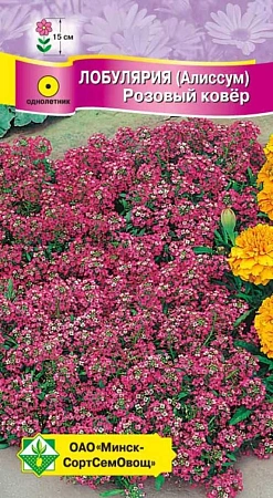 Лобулярия морская Розовый ковер, 0,2 г (МССО) Лобулярия морская Розовый ковер, 0,2 г (МССО)