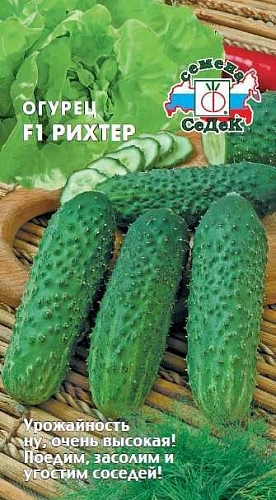Огурец Рихтер F1, 8 шт (СеДек) Огурец Рихтер F1, 8 шт (СеДек)