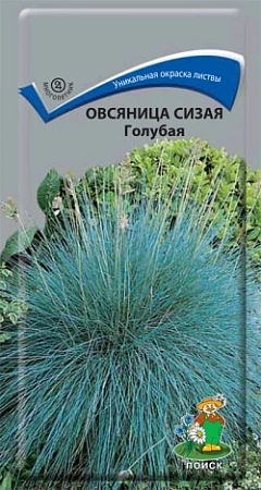 Овсяница сизая Голубая 0,1 г