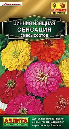 Цинния Сенсация, смесь сортов 12 шт (АЭЛИТА)