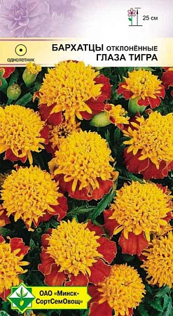 Бархатцы Глаза тигра отклоненные, 0,5 г (МССО) Бархатцы Глаза тигра отклоненные, 0,5 г (МССО)