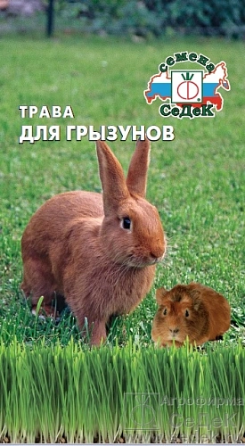 Трава для грызунов, 10 г Трава для грызунов, 10 г