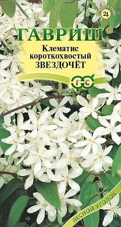 Клематис Звездочет короткохвостый многолетник, 0,05 г (Гавриш)