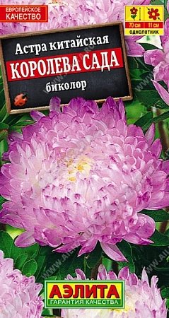 Астра Королева сада биколор 0,2 г (АЭЛИТА) Астра Королева сада биколор 0,2 г (АЭЛИТА)