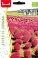 Кохия Red Globe венечная Большая клумба однолетник, 0,1 г (Ред.сем) Кохия Red Globe венечная Большая клумба однолетник, 0,1 г (Ред.сем)