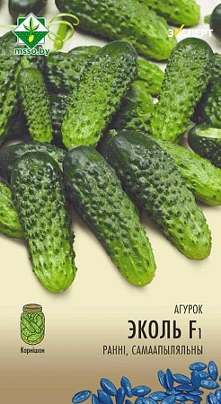 Огурец Эколь F1, 10 шт (Эксперт) (МССО) Огурец Эколь F1, 10 шт (Эксперт) (МССО)