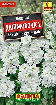 Левкой карликовый Дюймовочка белый, 0,05 г (АЭЛИТА)