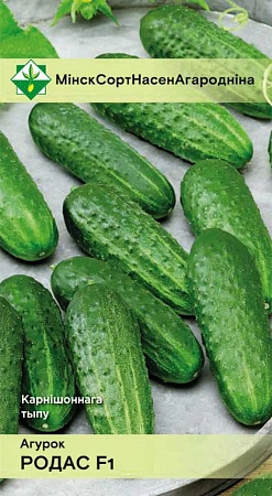 Огурец Родос F1 0,6 г (МССО) Огурец Родос F1 0,6 г (МССО)
