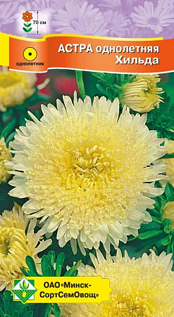 Астра Принцесса Хильда, 0,3 г (МССО) Астра Принцесса Хильда, 0,3 г (МССО)