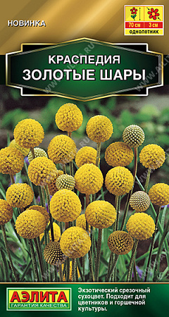 Краспедия Золотые шары, 0,05 г (Аэлита) Краспедия Золотые шары, 0,05 г (Аэлита)