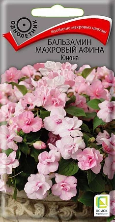 Бальзамин махровый Афина Юнона, 5 шт (Поиск) Бальзамин махровый Афина Юнона, 5 шт (Поиск)