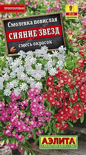 Смолевка Сияние звезд 0,1 г Смолевка Сияние звезд 0,1 г