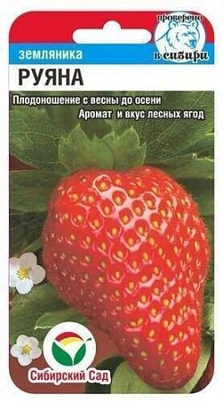 Земляника Руяна, 10 шт Земляника Руяна, 10 шт