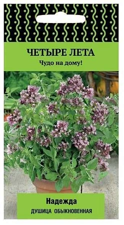 Душица Надежда обыкновенная Четыре лета, 20 шт (Поиск)