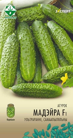 Огурец Мадейра F1, 5 шт (Эксперт) (МССО) Огурец Мадейра F1, 5 шт (Эксперт) (МССО)