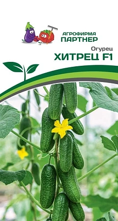 Огурец Хитрец F1, 5 шт (ПАРТНЕР)