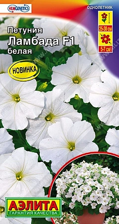 Петуния Ламбада F1 белая многоцветковая, 7 шт Петуния Ламбада F1 белая многоцветковая, 7 шт