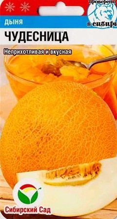 Дыня Чудесница 7 шт Дыня Чудесница 7 шт
