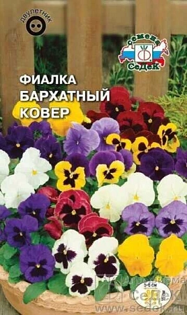Фиалка Бархатный ковер двулетник, смесь 0,05 г (Седек)