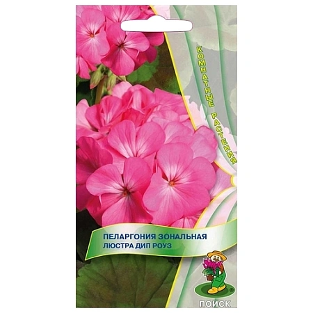 Пеларгония зональная Люстра Дип Роуз F1 5 шт Пеларгония зональная Люстра Дип Роуз F1 5 шт