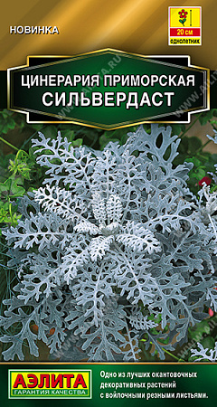 Цинерария Сильвердаст, 0,05 г (Аэлита)