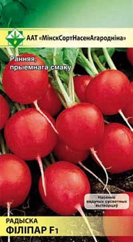 Редис Филипар, F1, 1 г (МССО) Редис Филипар, F1, 1 г (МССО)