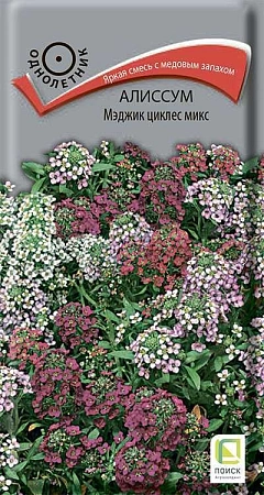 Алиссум Мэджик циклес микс, 0,1 г (Поиск) Алиссум Мэджик циклес микс, 0,1 г (Поиск)