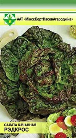 Салат Ред кросс кочанный 0,5 г (МССО)