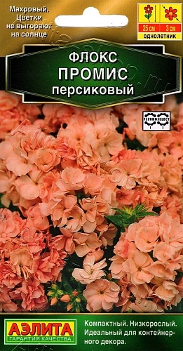 Флокс Промис персиковый 10 шт Флокс Промис персиковый 10 шт