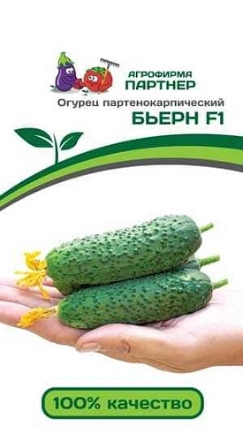 Огурец Бьерн F1 5 шт, 2-ной пак. (ПАРТНЕР) Огурец Бьерн F1 5 шт, 2-ной пак. (ПАРТНЕР)