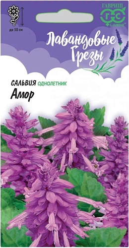 Сальвия Амор лавандовая, 4 шт (ГАВРИШ) Сальвия Амор лавандовая, 4 шт (ГАВРИШ)