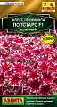 Флокс друммонда Попстарс F1 красный, 5 шт (Аэлита) Флокс друммонда Попстарс F1 красный, 5 шт (Аэлита)
