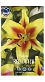 Лилия Double Red Dutch Лилия Double Red Dutch