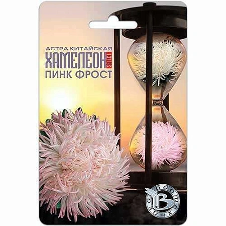 Астра китайская Хамелеон Пинк Фрост, 30 шт (Биотехника)