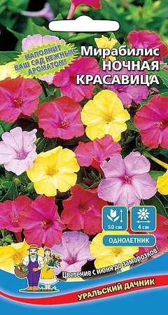 Мирабилис Ночная Красавица (УД)