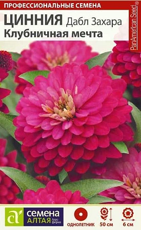 Цинния Дабл Захара Клубничная мечта, 6 шт