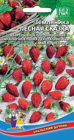 Земляника Лесная сказка (УД)