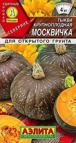 Тыква крупноплодная Москвичка,1 г (АЭЛИТА) Тыква крупноплодная Москвичка,1 г (АЭЛИТА)