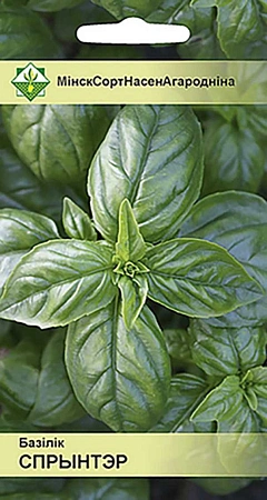 Базилик Спринтер зеленый 0,3 г (МССО)