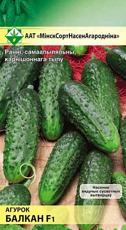Огурец Балкан F1, 5 шт (МССО) Огурец Балкан F1, 5 шт (МССО)